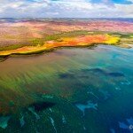 Aerial view of arid orange coastline meeting clear turquoise water with dark reef patches