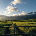 Rolling green pasture and wooden fence leading toward a dark mountain range in golden light