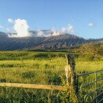 Sunlit green field with a rustic fence and metal gate before cloud-wrapped mountain peaks