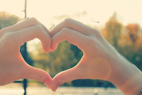 Two hands forming a heart shape against blurred trees in warm golden-hour light