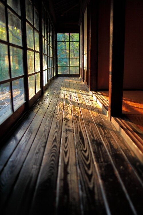 Warm sunlight across a polished wooden engawa hallway with glass doors opening to a green garden
