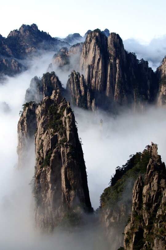 Jagged granite peaks with clinging pines rising from a thick white sea of clouds and mist
