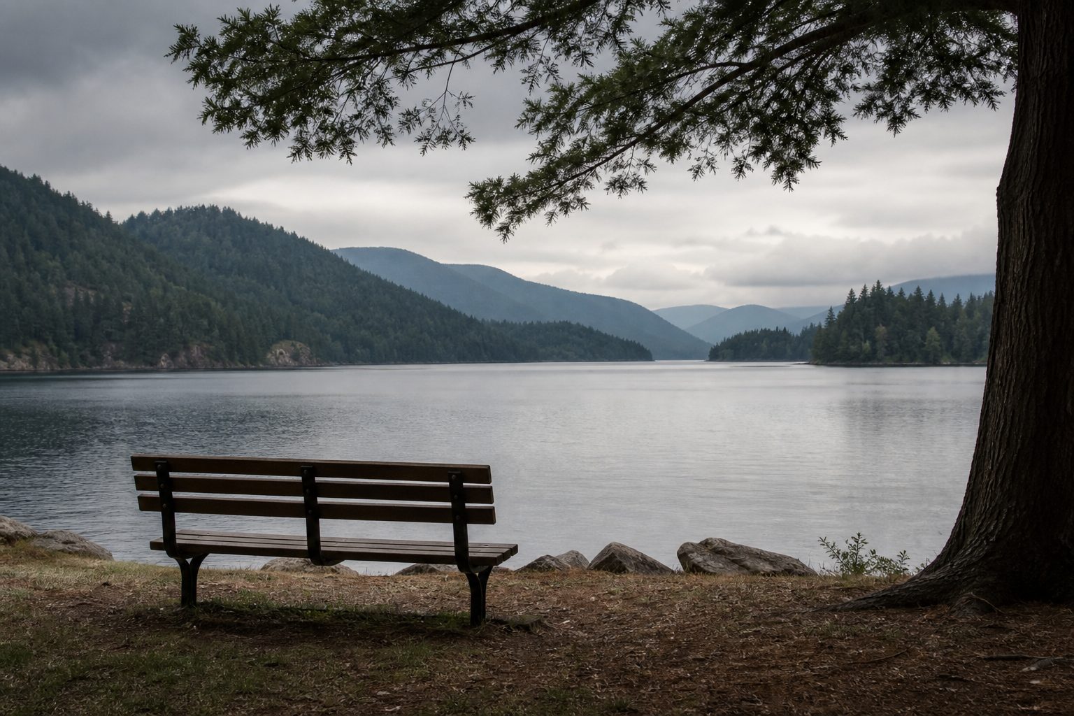 Empty park bench overlooking a calm lake under soft overcast light